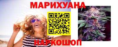 сатива Будённовск