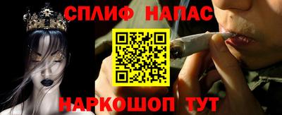 сатива Будённовск