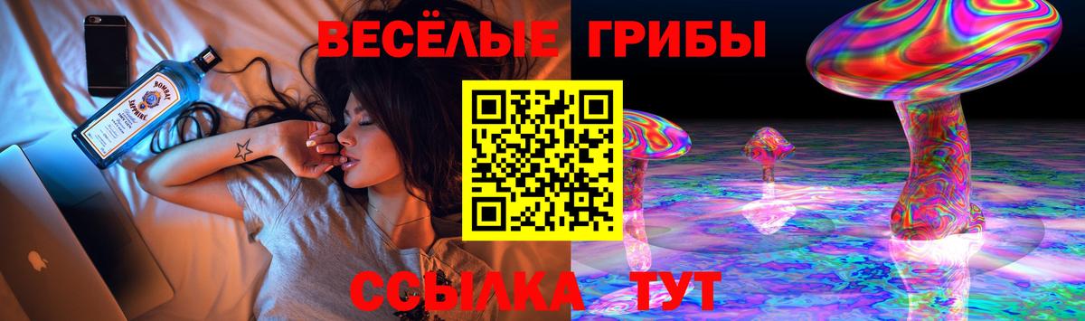 Новомосковск  Галлюциногенные грибы Cubensis  Вход с VPN 