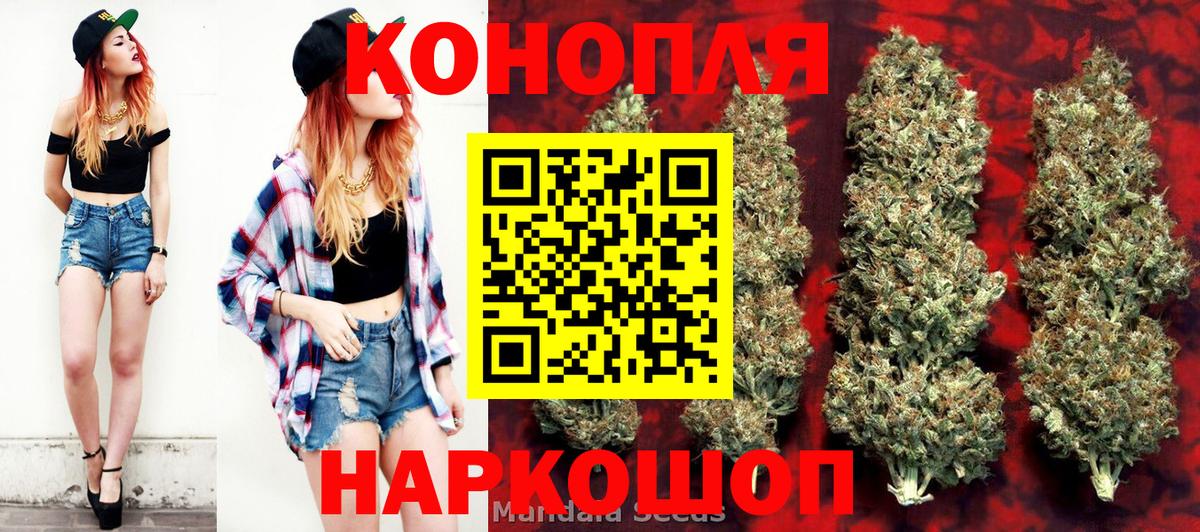 Каннабис ГИДРОПОН Новомосковск